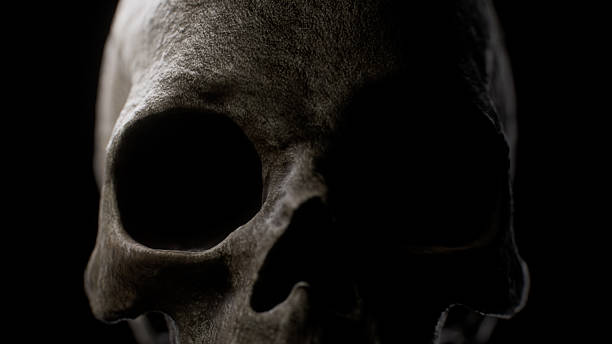 istock Close-up of a human skull on a black background 2212090413