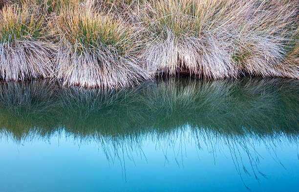 Reflections in the River. Still water in nature.