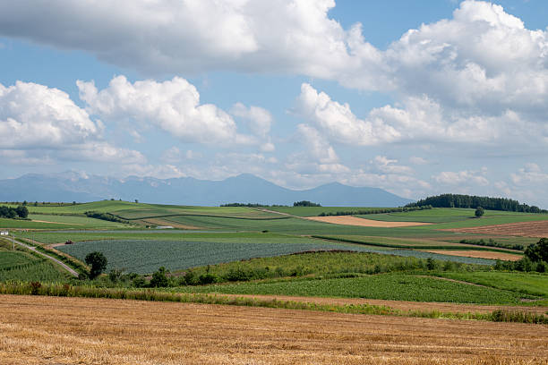 istock Summer field cultivation area and mountain range. Tokachidake mountain range 2212097566