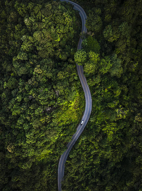 istock Aerial view green forest and asphalt road, Top view forest road going through forest with car adventure, Ecosystem ecology healthy environment road trip travel. 2212100940