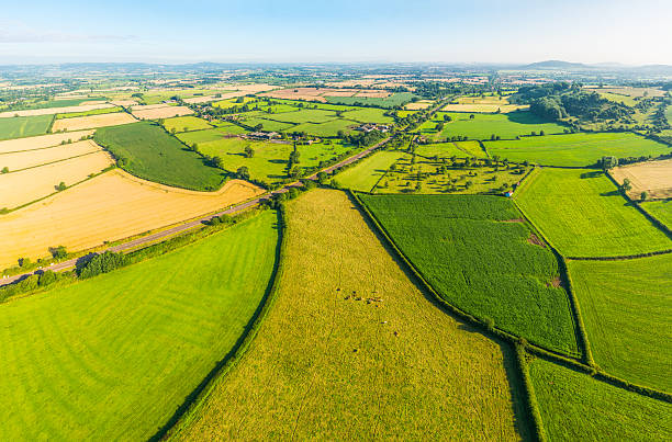 istock Aerial panorama over patchwork pasture green fields agricultural crops farms 2212101701