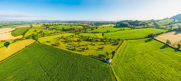 istock Aerial panorama over green crop fields farmland pasture rolling hills 2212101855