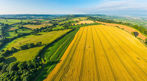 istock Aerial panorama over golden crop fields green pasture rolling hills 2212102594