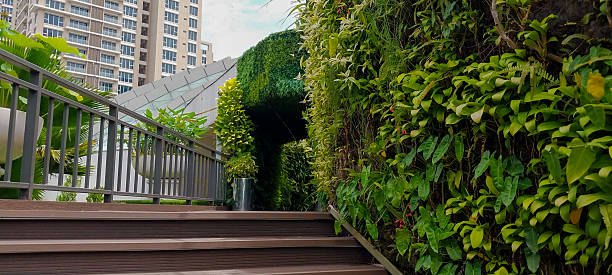 istock Decorative Green Lushes on Rooftop Garden – Modern Urban Oasis 2212102920