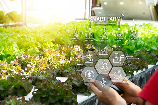 istock The concept of using AI and smart farming 2212109061