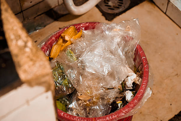 istock A close-up of a trash bin filled with plastic and organic waste 2212110768