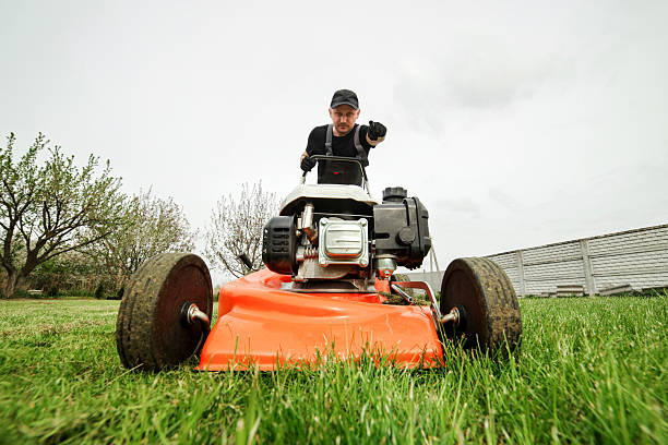 istock Professional gardener in protective apparel is mowing green grass lawn using modern gasoline cordless lawnmower at backyard. Seasonal landscaping design work. Blooming trees on background 2212111735