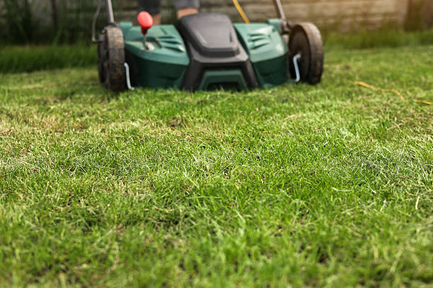 istock Gardening work tools. Green electric aerator scarifier for soil cultivation and compaction on bright lush green lawn grass. Professional lawn care service. Grass maintenance. Place for text. 2212113218