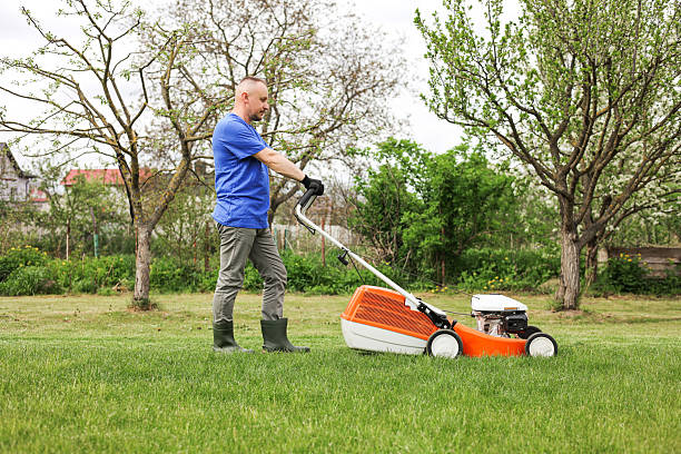 istock Man in protective gloves, gardener is mowing bright lush green grass lawn using modern gasoline cordless lawnmower at own backyard. Seasonal landscaping design work. Gardening work tools. 2212113581