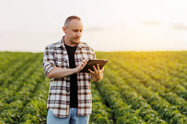 istock Agronomist farmer uses digital tablet to analyse and check quality control the growth soybeans plants in the field. Smart farming technology and organic agriculture concept. Modern soya agribusiness 2212114127