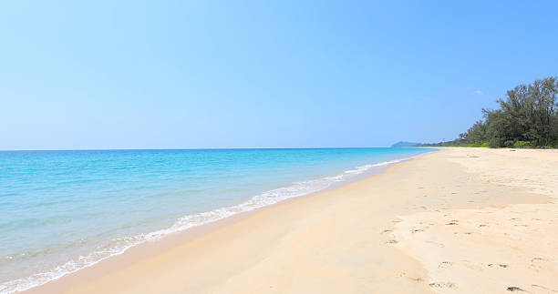 istock Sunny deserted beach with turquoise ocean waves under clear blue sky, 2212115175