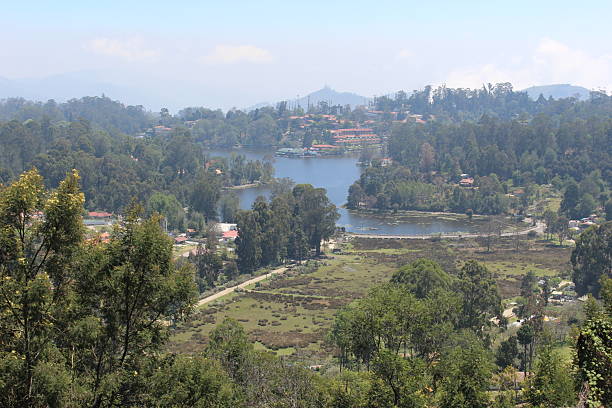 This image captures the breathtaking panorama of Lake and its surrounding landscape from Upper Lake View Point, Tamil Nadu. The serene lake is nestled amidst lush greenery and rolling hills, creating a tranquil and picturesque scene. The town's buildings are visible in the distance, adding a touch of human presence to the natural beauty.