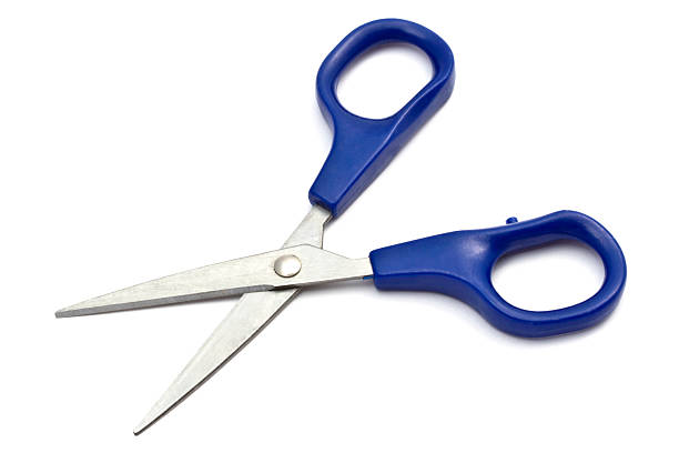 istock A pair of open, blue-handled scissors on a plain white background. 2212121512