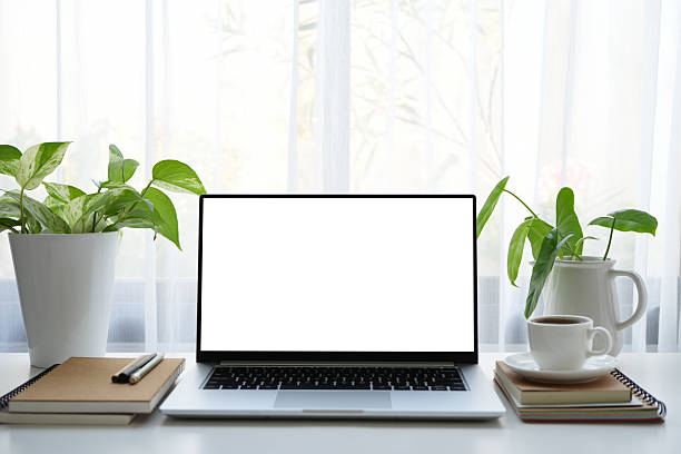 istock Laptop with white screen and coffee cup and plants, cozy indoor work space 2212125329