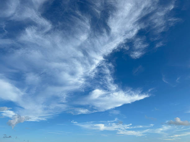 White summer clouds fill the blue sky