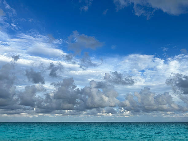 The horizon of the Caribbean Sea shows turbulent waters beneath an overcast sky, filled with dark, dramatic clouds hinting at an impending storm. The atmosphere feels charged and intense.