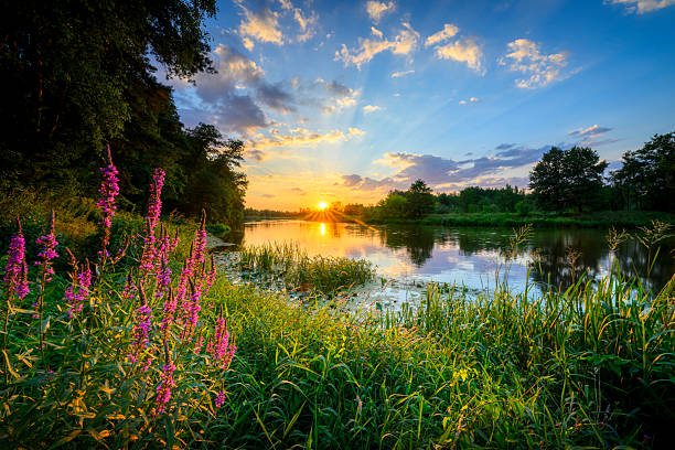 istock Beautiful summer sunset over the river banks 2212128272
