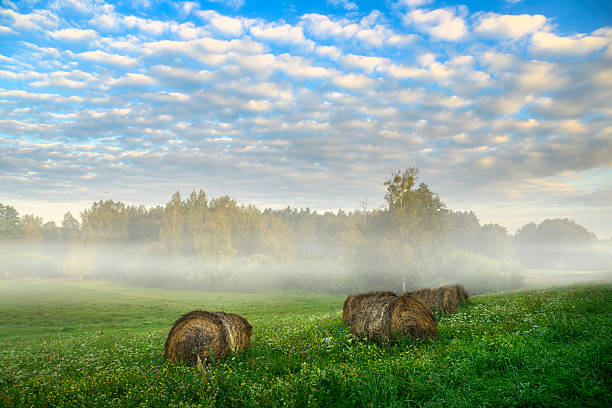 beautiful misty morning over the countryside fields