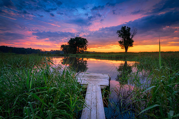 Colorful summer sunrise over the lake