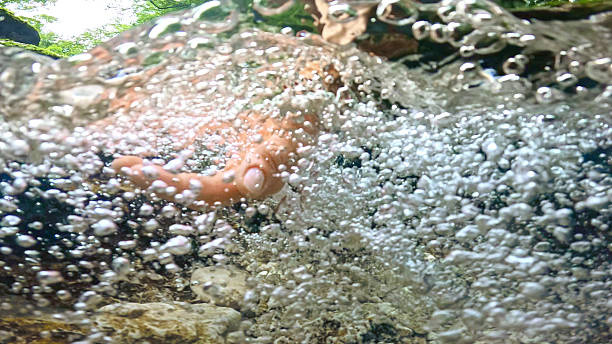 istock Underwater View of Hand Reaching for Fresh Spring Water Amid Bubbles 2212129547