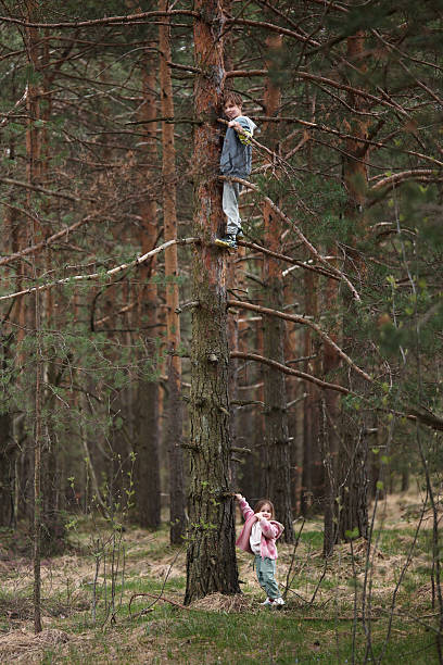 Full length of happy boy and girl climbing on a tree in the forest