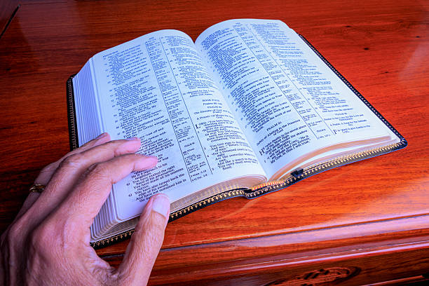 Male hands holding a Bible.