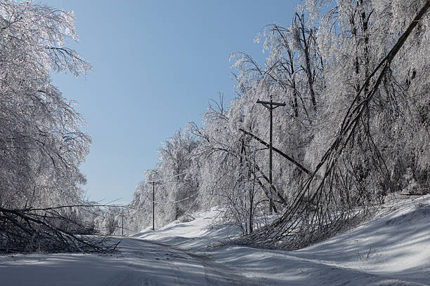 istock Ice storm Northern Michigan April 2025 2212136859