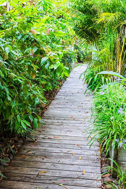 istock TLP Garden kitchen boardwalk vert 2212139010