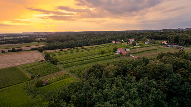 istock Peaceful Small Village Amid Green Fields at Sunset with Golden Sky 2212144308