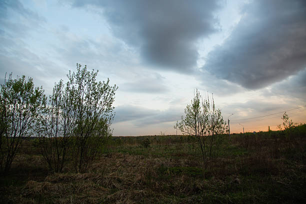 istock Beautiful sunset bright colorful storm clouds sky and small trees branches in spring time. Silhouette background in evening at rural season field with no people. Natural colors. 2212144490