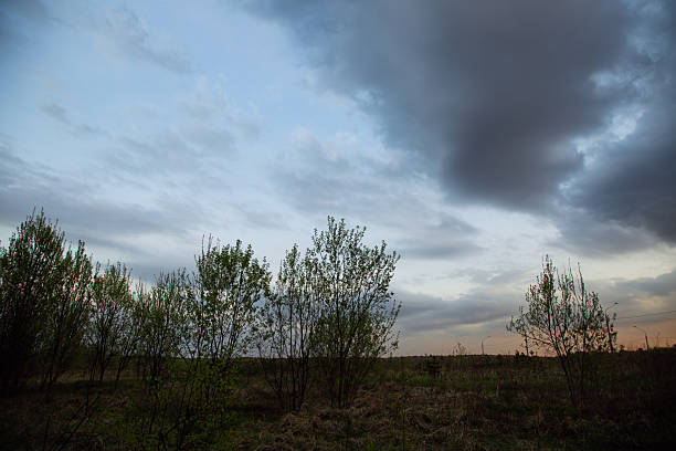 istock Beautiful sunset bright colorful storm clouds sky and small trees branches in spring time. Silhouette background in evening at rural season field with no people. Natural colors. 2212144501