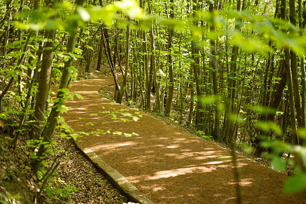 Running Amidst Nature's Path stock photo