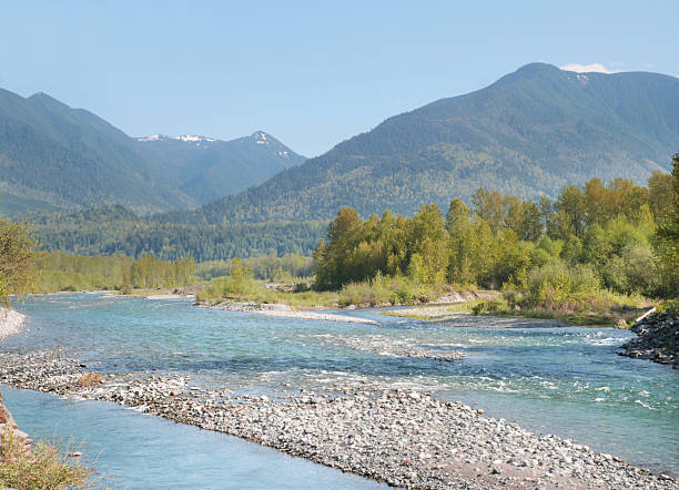 Chilliwack River as seen from the Vedder Rotary Trail North during a spring season in Chilliwack, Fraser Valley, British Columbia, Canada.