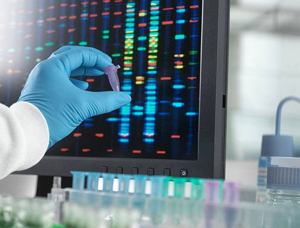 istock A scientist in a lab analyzes genetic information, studying dna sequencing results closely. 2212150581