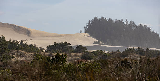 istock Sand Dunes Winchester Bay Recreation Area 2212156240