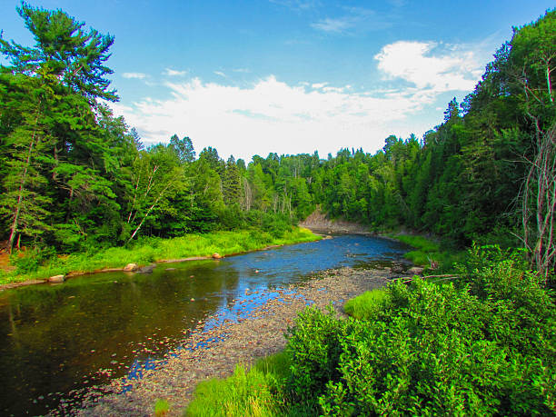 Picture taken while exploring, Bathurst area in New-Brunswick