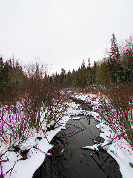 istock River of New-Brunswick 2212163500