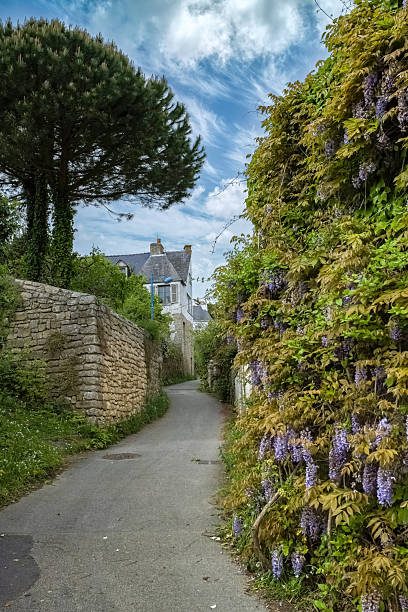 istock Brittany, Ile aux Moines island typical houses 2212165646