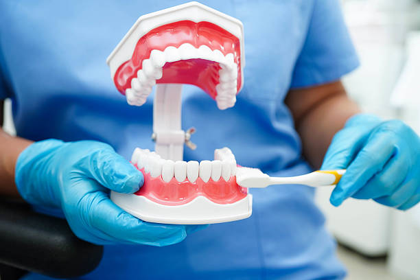 istock Doctor clean teeth denture with toothbrush for teach patient and dentist studying about dentistry. 2212175896