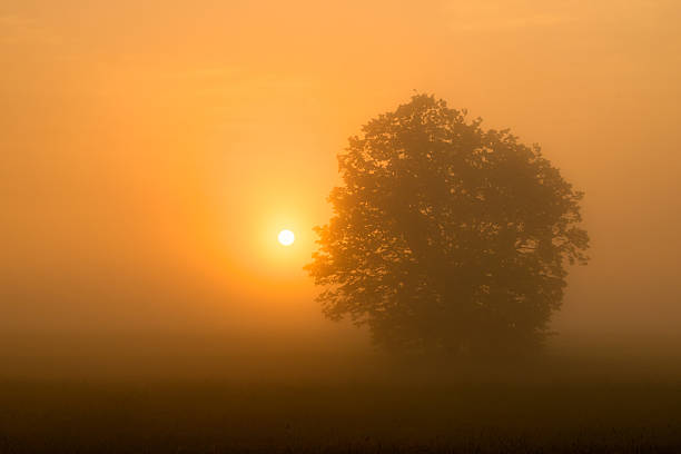 Colorful sunrise over the field
