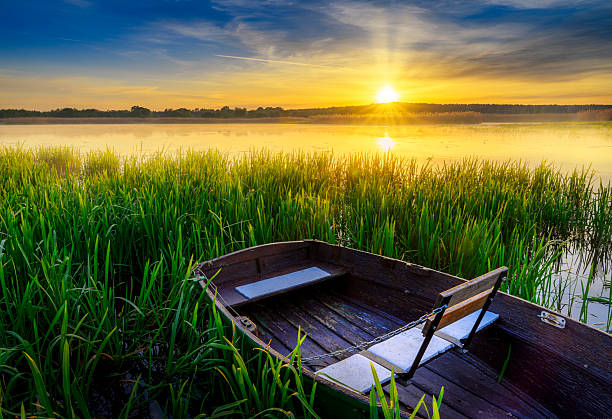 Beautiful summer sunset over the lake