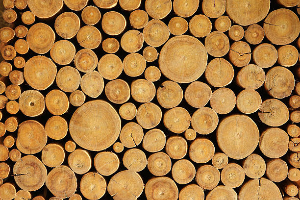 istock A wall of stacked logs in the background. 2212186072