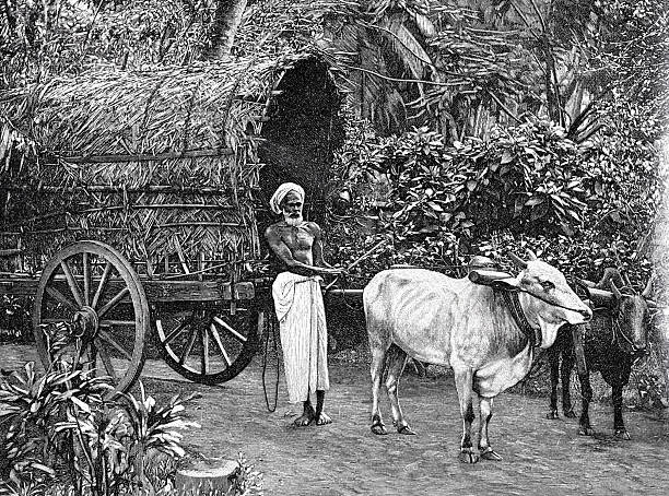Illustration from 19th century.