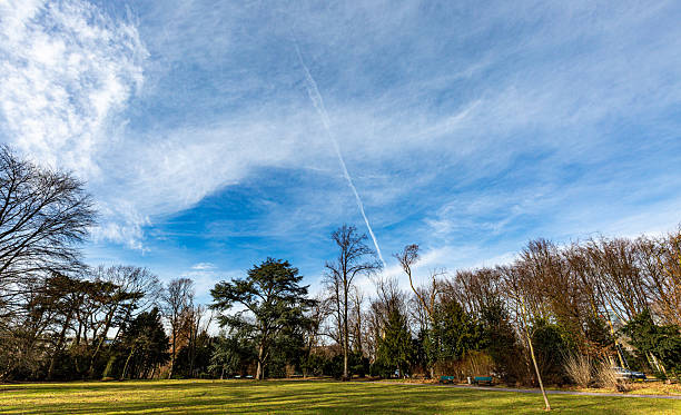 istock Grass field, trees and interesting sky in park in winter 2212188347