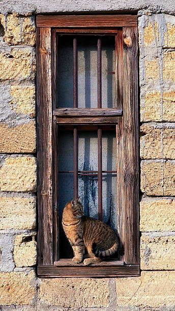 Curious Cat at the Window. A Feline Sentinel in a Rustic Setting