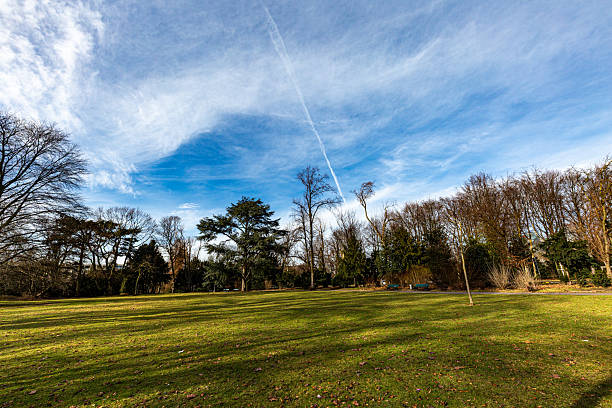 istock Grass field, trees and interesting sky in park in winter 2212188412