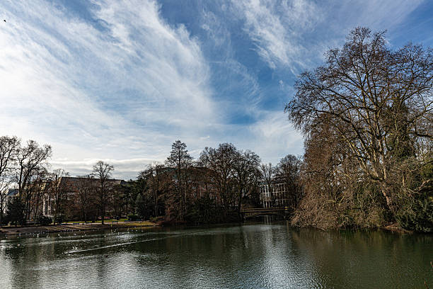 istock Trees, lake and interesing sky in park 2212188452