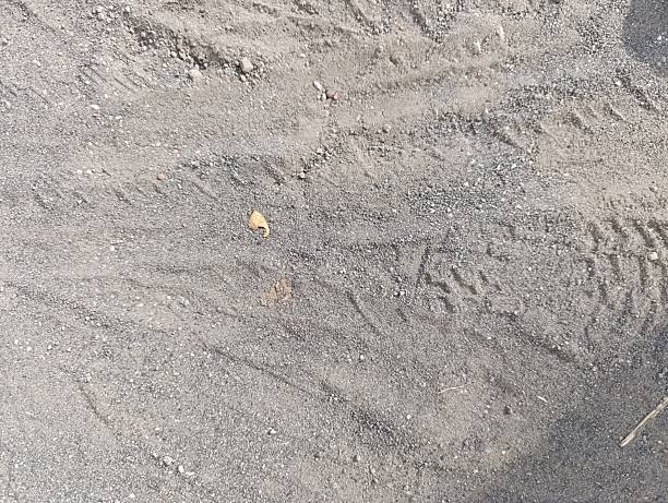 istock Tire tracks imprinted on a dusty or sandy ground surface 2212197550