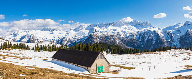 istock Spring at the Altopiano del Montasio 2212197579