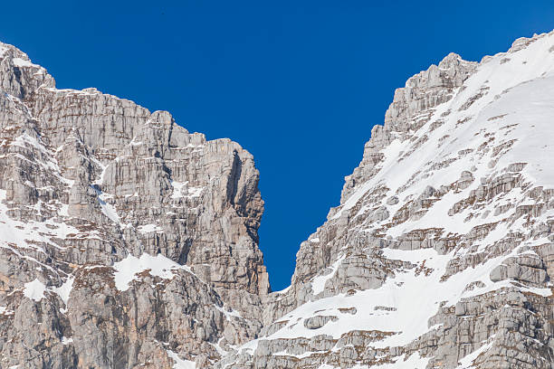istock Spring at the Altopiano del Montasio 2212197662